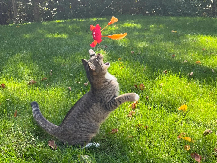 BOSTON Lobster Cat Wand Toy