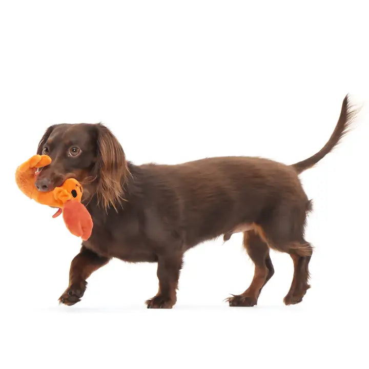 BARK Della Crawfish Plush Dog Toy