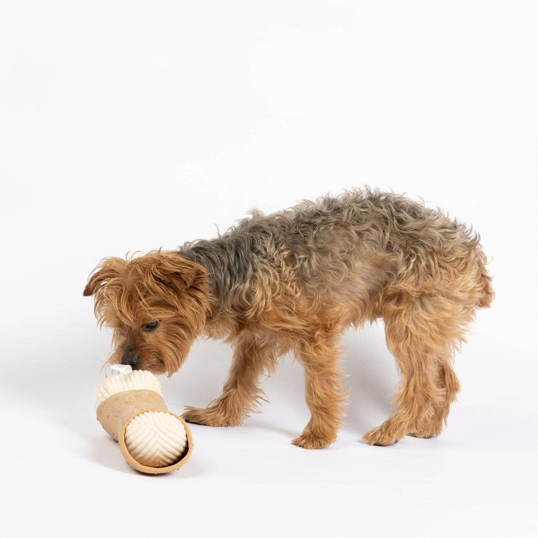 Cannoli Dog Toy  2-in-1 Plush & Rubber Crinkle Toy for Chewers