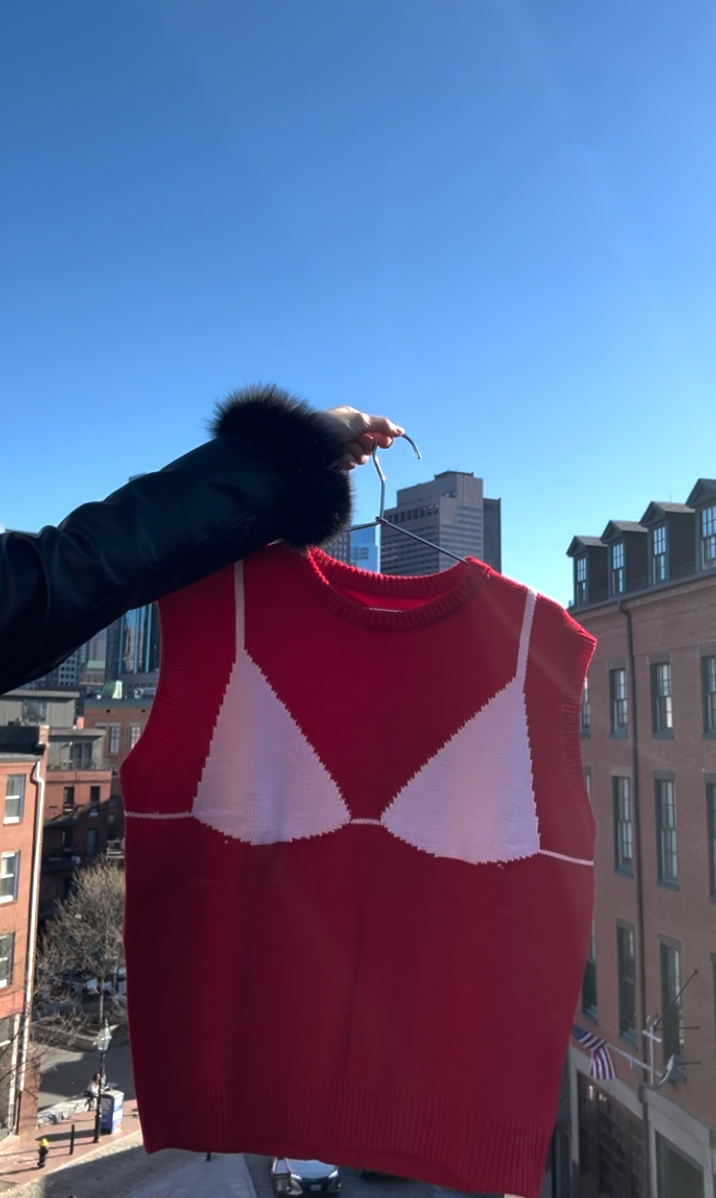 Bikini Sweater Vest