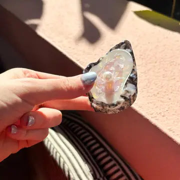 Oyster Claw Clip - Cellulose Acetate with Pearl Detail