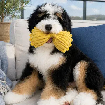 Farfalle Dog Toy